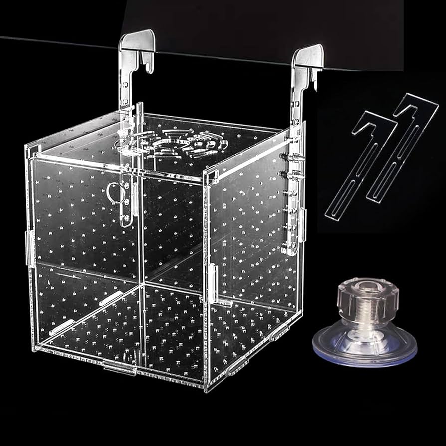 Amazon | Roczential 水槽セット用 魚の繁殖隔離ボックス 産卵
